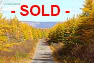 20 acr Woodlot in River Denys for sale on Cape Breton Island, Nova Scotia, Canada between Baddeck, Port Hawkesbury, Cabot Trail and Highlands National Park