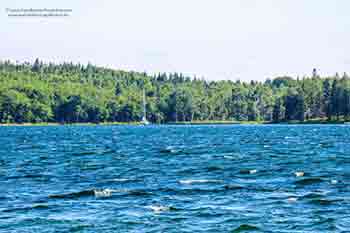 property for sale at the Bras d'Or Lake on Cape Breton Island