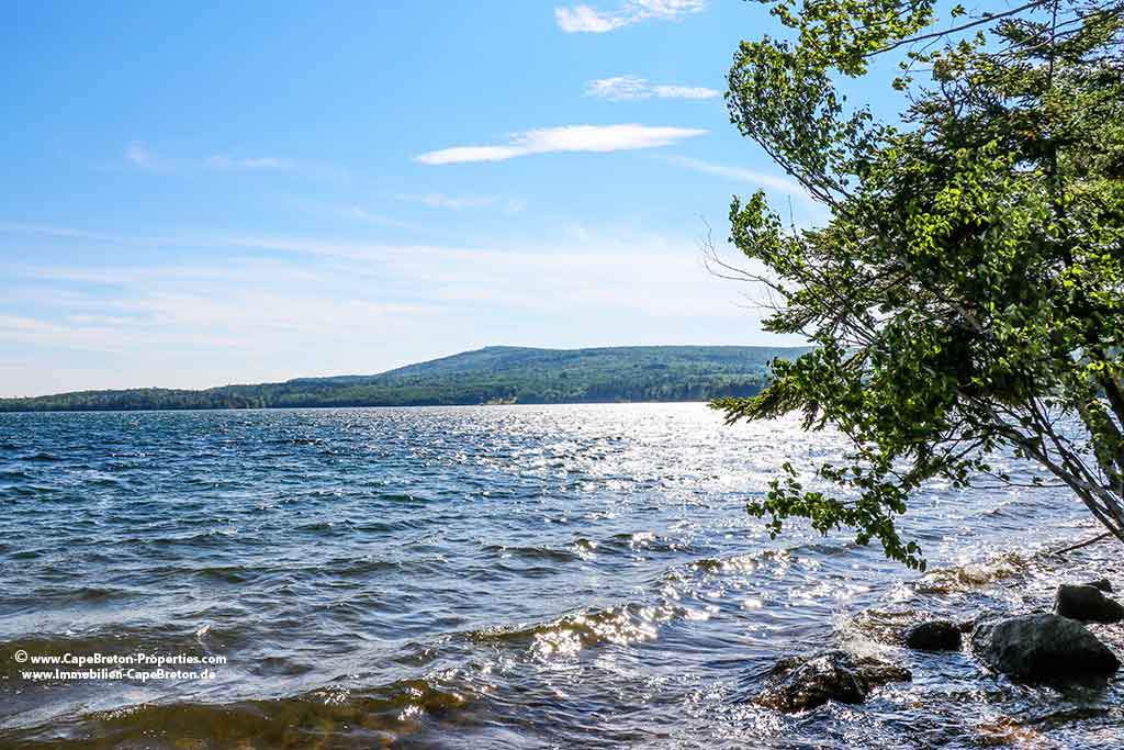 140 acr property for sale on Cape Breton Is;land