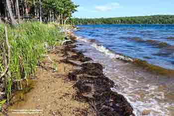 Bras d’Or Beach House Little Narrows on Cape Breton Nova Scotia Canada