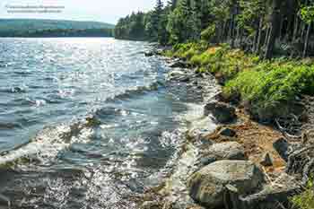 Bras d’Or Beach House for sale in Little Narrows, Cape Breton, Nova Scotia, with extra apartment and garage