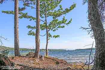 Bras d’Or Beach House for sale in Little Narrows, Cape Breton, Nova Scotia, with extra apartment and garage