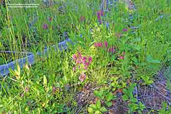 Bras d’Or Beach House Little Narrows on Cape Breton Nova Scotia Canada