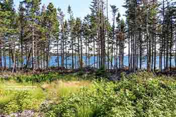 Bras d’Or Beach House for sale in Little Narrows, Cape Breton, Nova Scotia, with extra apartment and garage