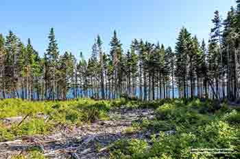 real estate for sale on Cape Breton, Nova Scotia, Canada