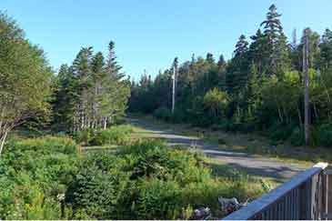 Red Ocean Cottage on 3.3 acres shorefront property for sale Cape Breton, Nova Scotia, Canada