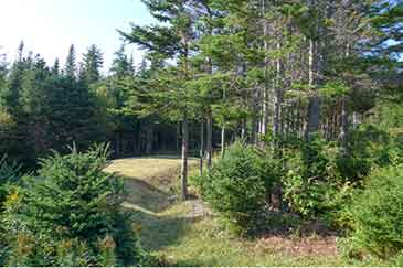 Red Ocean Cottage on 3.3 acres shorefront property for sale Cape Breton, Nova Scotia, Canada