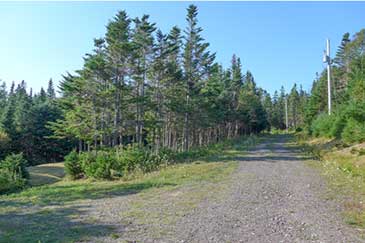 Red Ocean Cottage on 3.3 acres shorefront property for sale Cape Breton, Nova Scotia, Canada